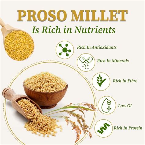 Proso Millet: A Nutrient